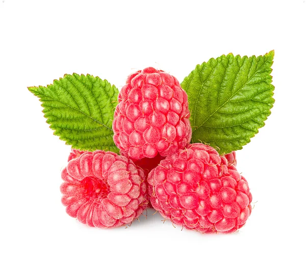 Raspberries with leaves isolated on white background — Stock Photo, Image