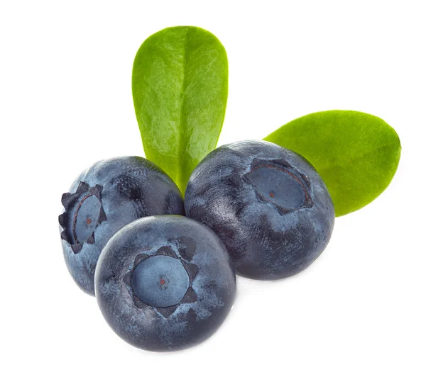 Blueberry απομονωμένο σε λευκό φόντο — Φωτογραφία Αρχείου
