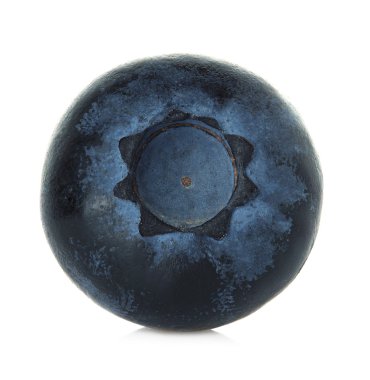 beyaz arkaplanda yaban mersini izole