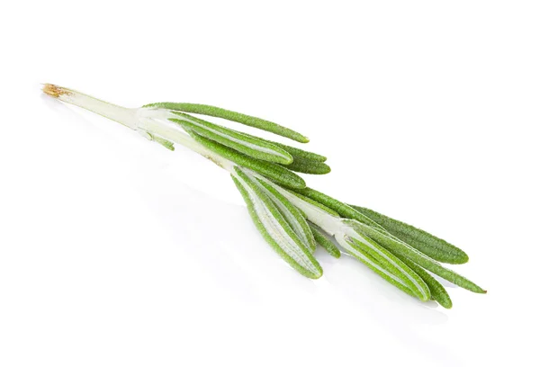 Rosemary isolated on white background — Stock Photo, Image