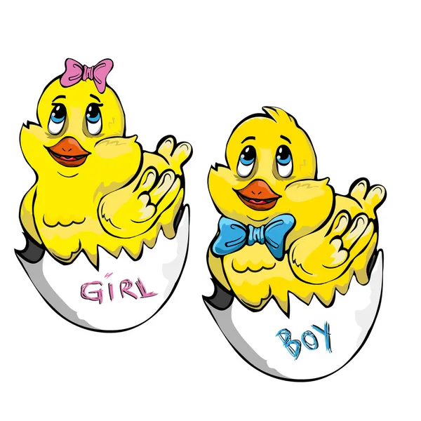 Κινούμενα σχέδια κορίτσι και αγόρι κοτόπουλα που μόλις έχουν εκκολαφθεί από αυγό — Φωτογραφία Αρχείου