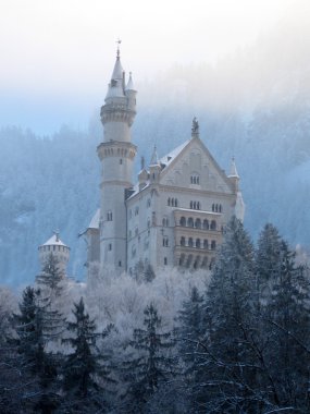 Neuschwanstein Şatosu