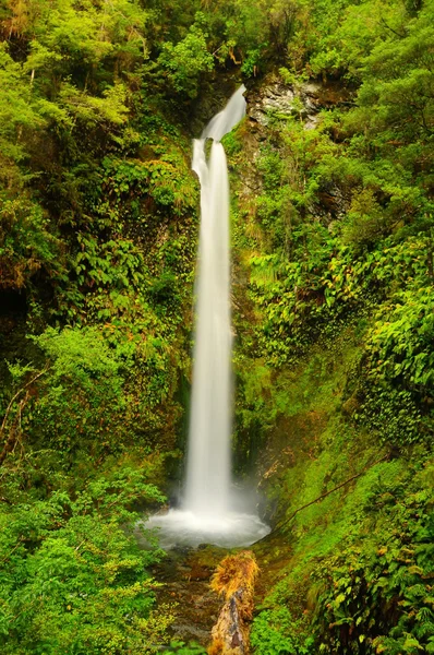 Wasserfall in Neuseeland — Stockfoto