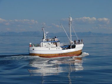 Whalesafari