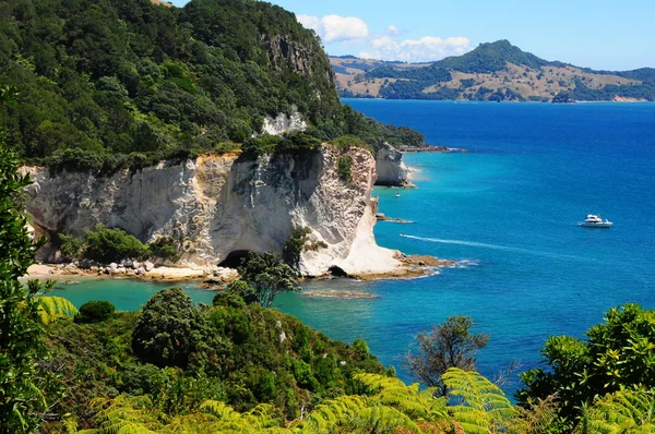 Penisola di Coromandel Immagine Stock