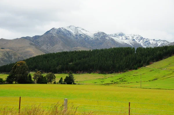 Nieuw-Zeeland landschap Stockfoto