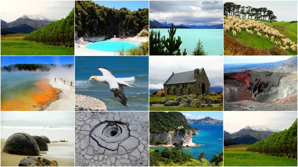 Yeni Zelanda kolaj