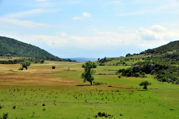 Paisagem provence — Fotografia de Stock