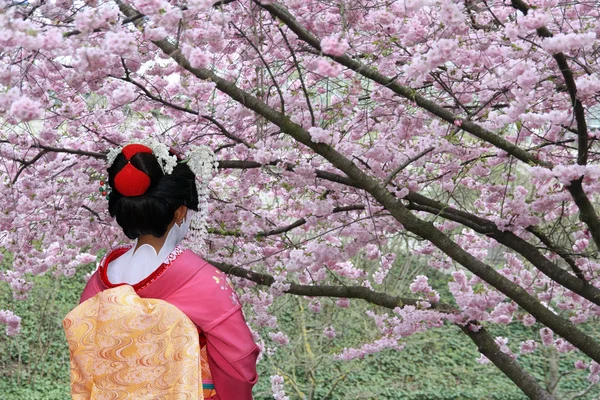 Японские гейши — стоковое фото