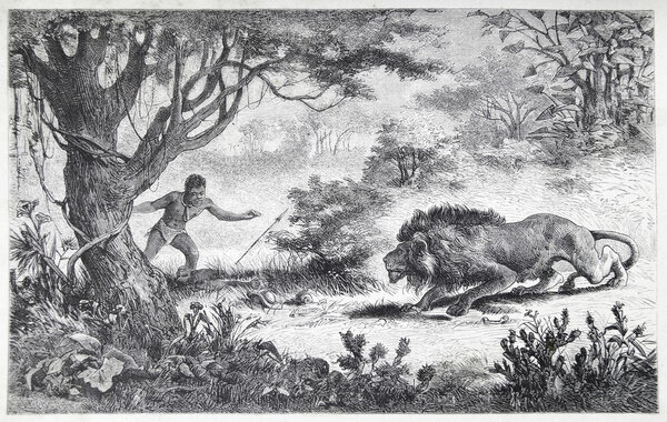 Племя бечуанов находит своего брата съеденным львом
