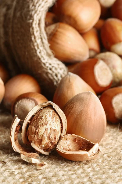 Hazelnuts — Stock Photo, Image