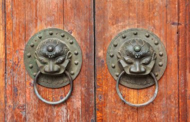 Çift aslan topuzlar