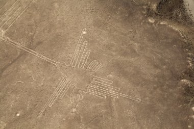 çizgiler ve nazca, peru - geoglyphs sinek kuşu