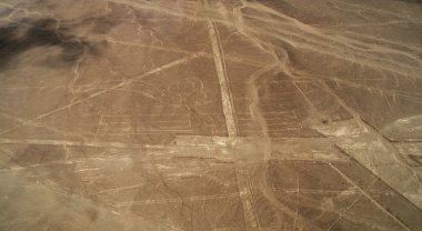 çizgiler ve nazca, peru - Pelikan geoglyphs