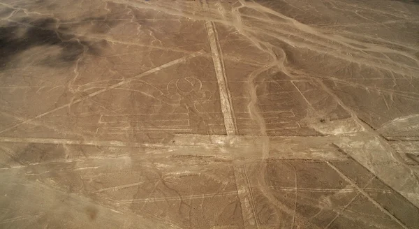 Linie i geoglyphs z nazca, peru - Pelikan — Zdjęcie stockowe