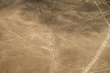 çizgiler ve nazca, peru - geoglyphs akbaba