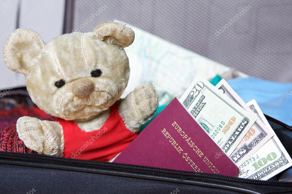 travel teddy bear with passport
