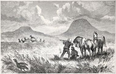 colesber, Güney Afrika avcılık springbock