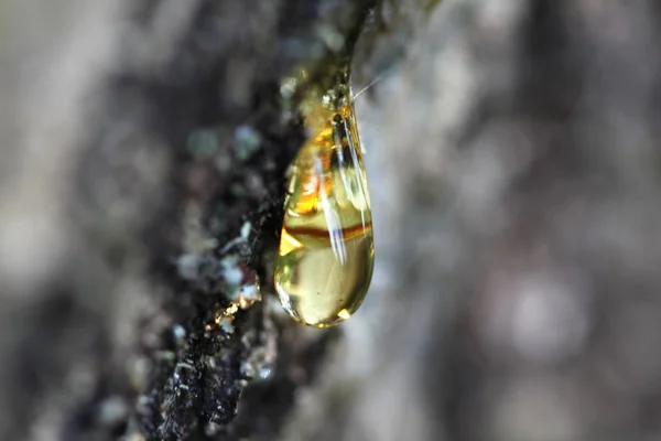 Gotas de resina — Foto de Stock