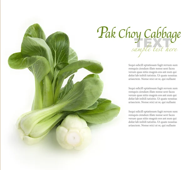 Aziatische vegetable - pak choy — Stockfoto