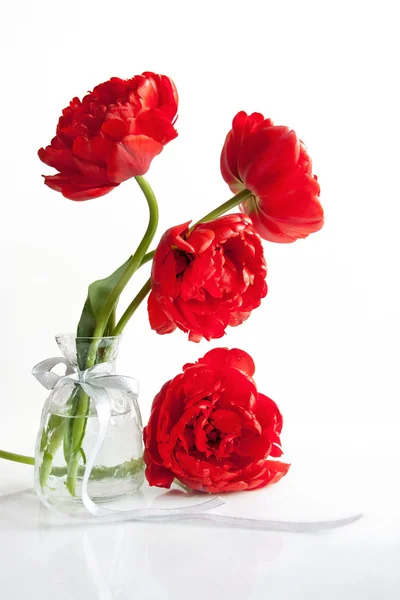 Tulipes écarlates dans un vase — Photo