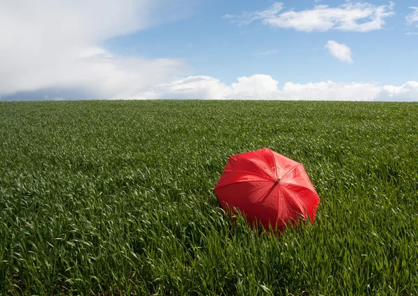 Rött paraply på den gröna ängen — Stockfoto