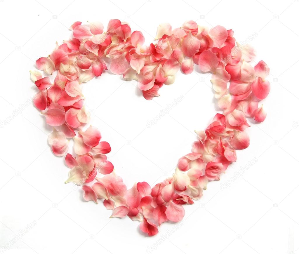 Flower Petals forming a heart shape