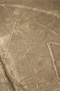 Nazca çizgileri, peru - örümcek