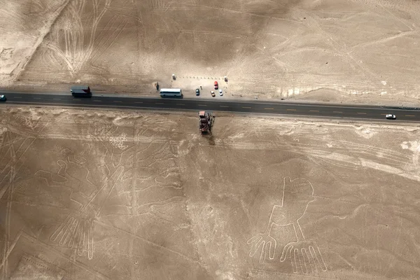 Nazca Lines, Peru - hand and tree — Stock Photo, Image