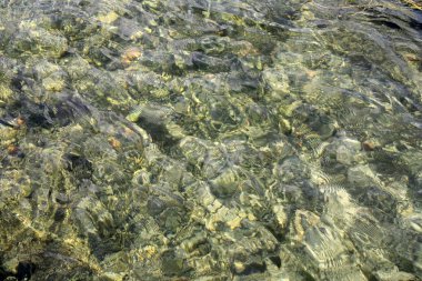 Arkaplan için su dokusu