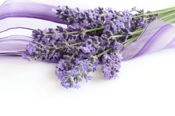 Bunch of Lavender — Stock Photo, Image