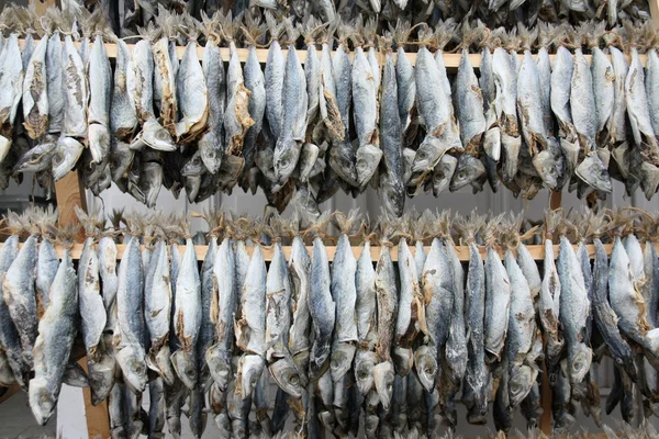 Drying fish on wooden shelf — Stock Photo, Image