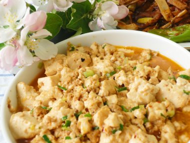 Çin yemeği özel - mapo tofu