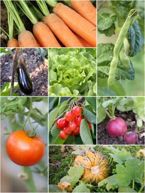 Homegrown bahçe ürünleri