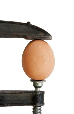 Egg in clamp (isolated) clipart