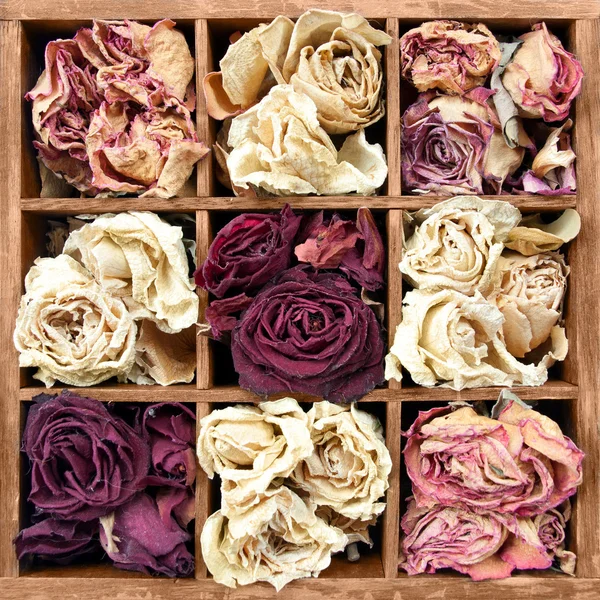 Withered roses in wooden box — Stock Photo, Image