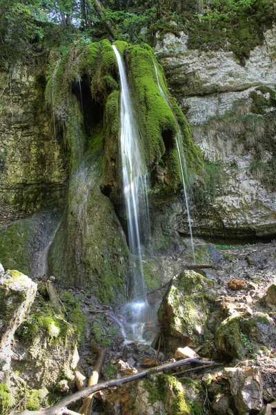 A beautiful waterfall in forest in the mountains — Stock Photo, Image