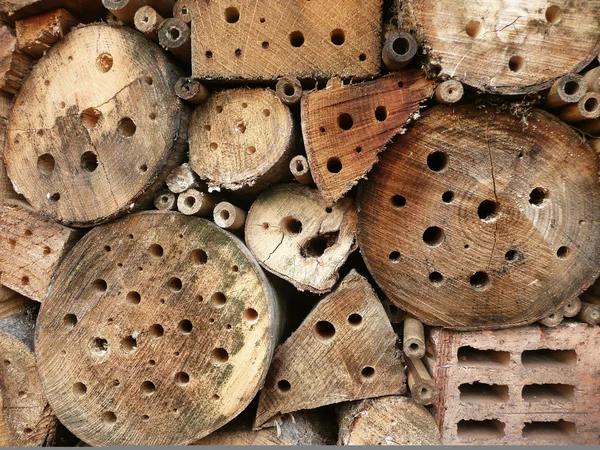 Wild insect hotel — Stock Photo, Image