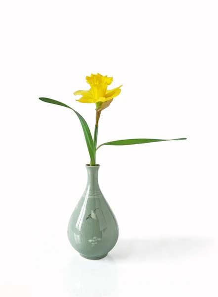 Daffodil em um vaso japonês — Fotografia de Stock