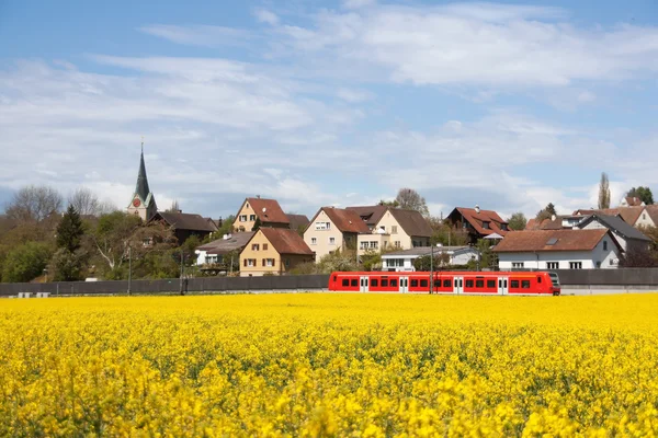 Un treno rosso sta attraversando un campo di stupri in fiore — Foto Stock