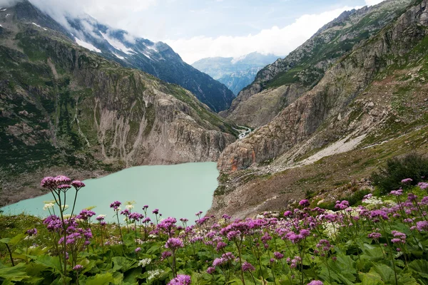 Vale dos Alpes em Berna Overland, Suíça — Fotografia de Stock