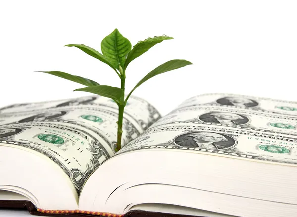 Leaf bud growing out of a book covered with dollars — Stock Photo, Image