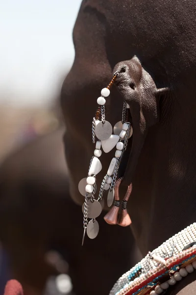 Juwelen van de masai stam — Stockfoto