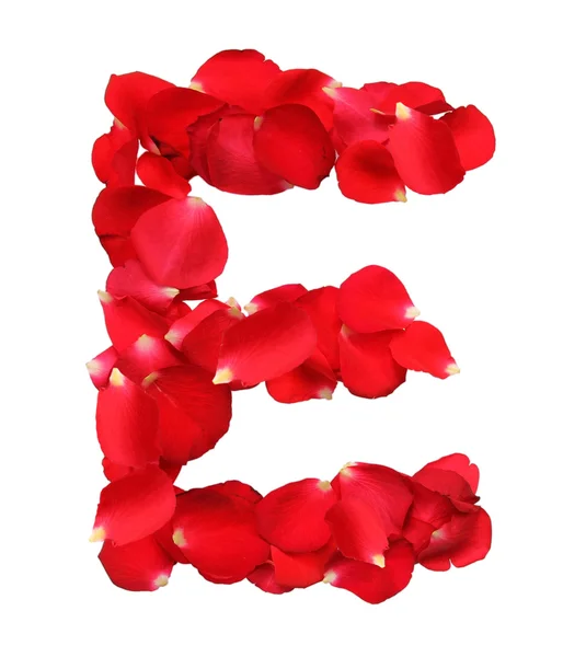 Alphabet E formed by red rose petals on white background — Stock Photo, Image