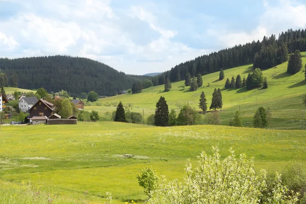 Grasland landschap in de Zwitserse Alpen regio — Stockfoto