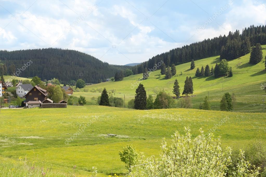 Pasture landscape in Swiss Alps region