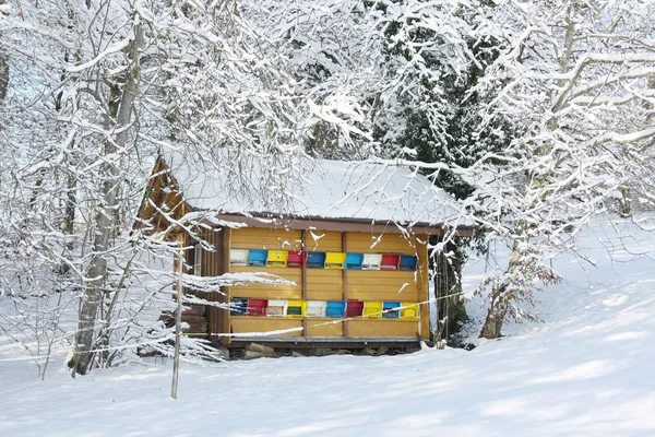 Colorful beehive in the winter — Stock Photo, Image