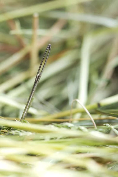 Needle in hay — Stock Photo, Image