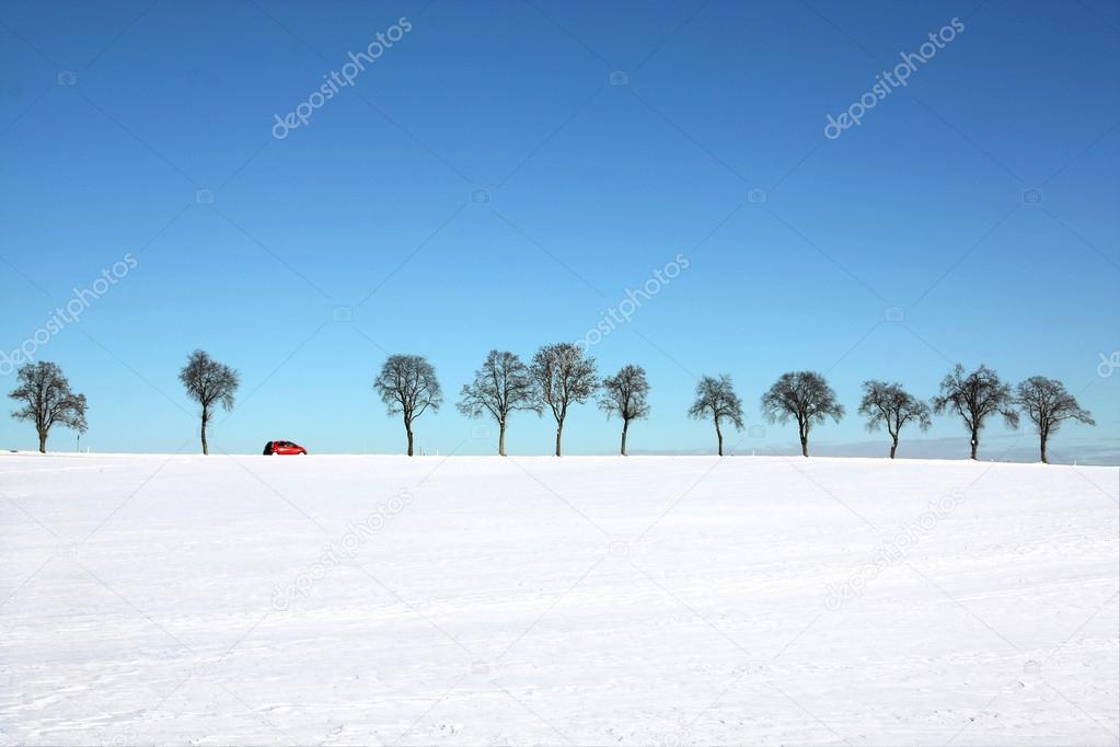 Snow landscape - tree line with a passing red car in a sunny winter day