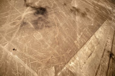 Nazca çizgileri, peru - deniz kuşu